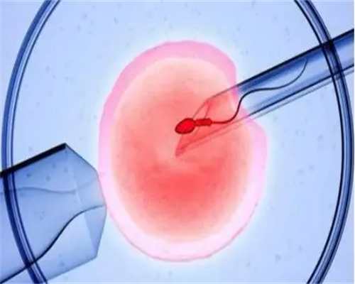 石家庄第二附属医院可以用别人的卵子做供卵三代试管吗？