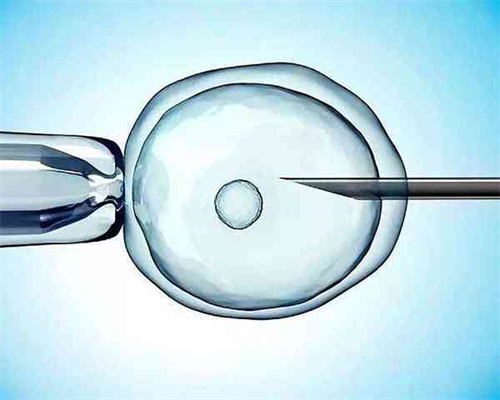 石家庄供卵供精做试管,石家庄试管生子机构Top10排行(石家庄做试管的医院)