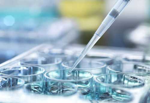 上海做试管助孕的费用构成?,助孕机构就上海十月幸孕