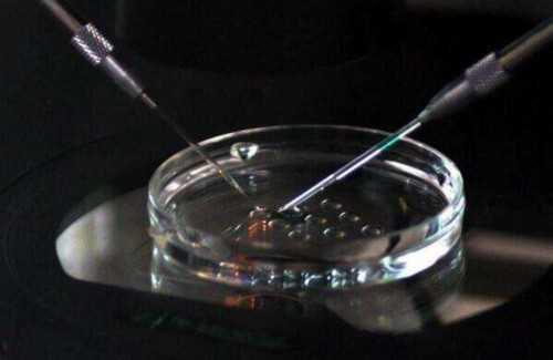 上海助孕宝宝绿便怎么改善，上海助孕宝宝腹泻该怎么喂养