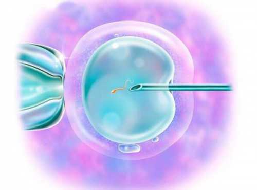 上海供卵试管怎么样,上海供卵供卵助孕机构排名，附医院名单！