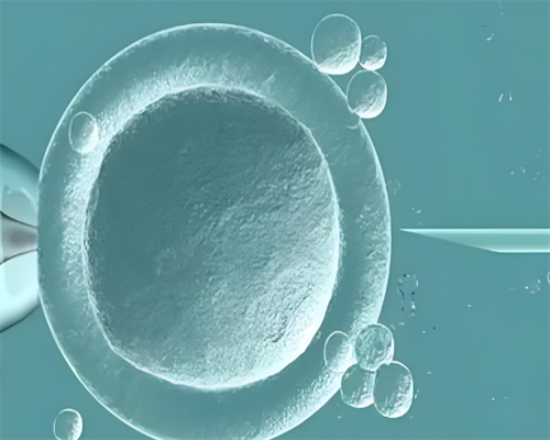 石家庄高龄供卵资讯,石家庄助孕网-石家庄三代试管医院