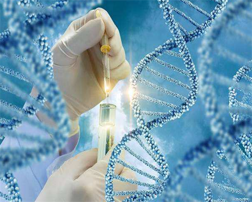 北京助孕中介怎么样,排名前十名北京试管助孕公司-做代孕供卵套餐