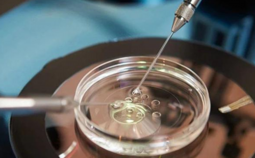 石家庄做试管男孩多少钱试管婴儿石家庄哪个医院做的好