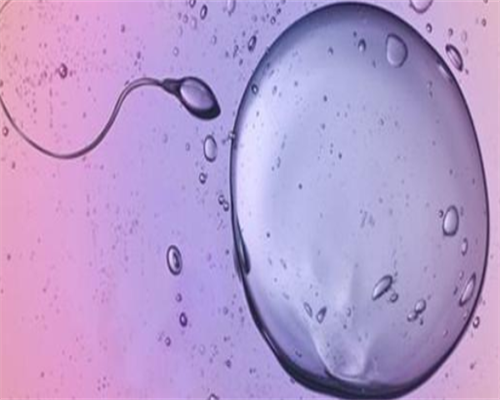 石家庄试管助孕需要多少钱-石家庄试管助孕费用是多少？