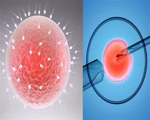 强强联合共建高质量的生殖医学中心！原深圳武警医院生殖医学中心将移交深圳