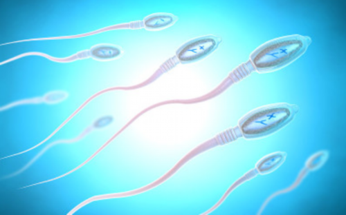 吃润康上海助孕宝宝会头大不大吃润康上海助孕宝宝会不会偏大