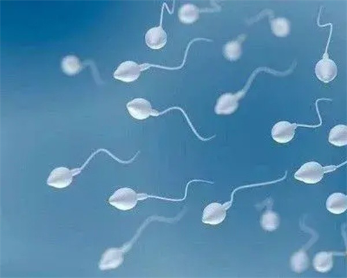 试管上海助孕宝宝和自然受孕的上海助孕宝宝会不会存在一些差异？