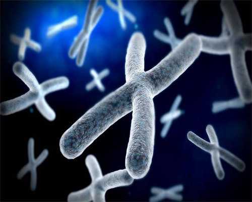 上海助孕宝宝咳嗽吃什么药