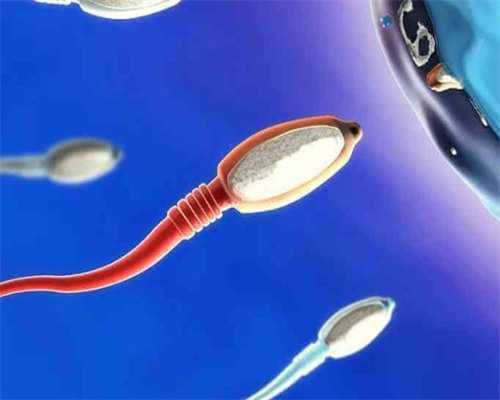 2026北京试管助孕条件,2026北京试管生子助孕机构名单_代怀包男孩价格