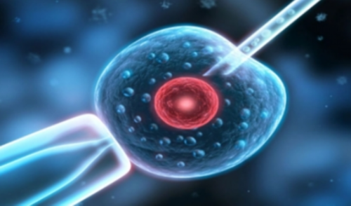 石家庄省二院试管套餐(石家庄省二院试管分享)
