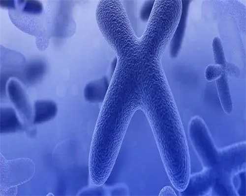 石家庄试管婴儿成功率-2026石家庄三代试管成功率高医院推荐