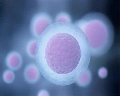 上海做试管助孕所需费用?,安夏健康：为何成为上海市首选试管助孕中介公司？