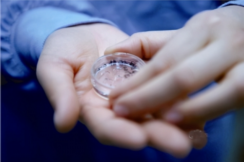 上海仁济生殖医院北院洪燕医生做试管的成功率高吗？