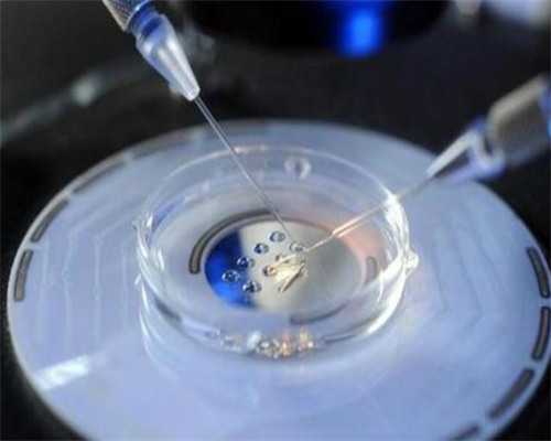 2026年想要快速，掌握这4个备孕小技巧助你早日怀上虎上海助孕宝宝