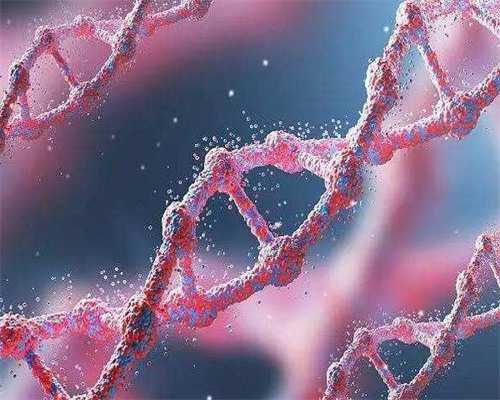 石家庄市四院三代试管(石家庄市四院和省二院试管)