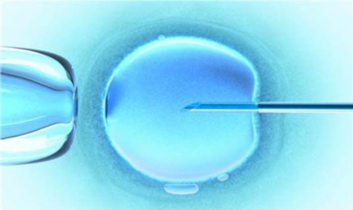 如何选择上海的试管婴儿助孕机构？?,上海助孕中介哪里好坤和优惠吗