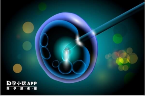 石家庄省二院做试管婴儿多少钱？石家庄哪里可以冷冻卵子？