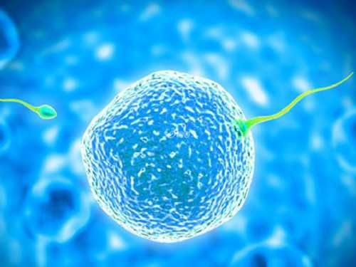 在石家庄做试管大概花多少钱,石家庄做试管婴儿多少钱