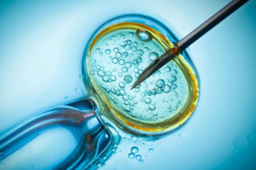 广州供卵试管代怀生子医院排名，附供卵生男孩费用一览！