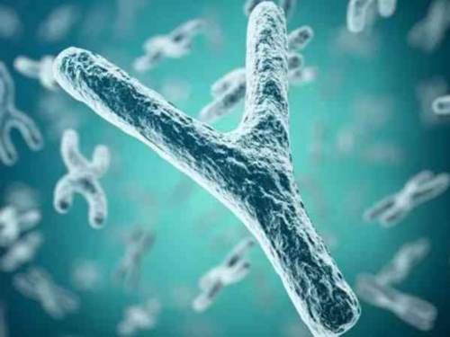 上海怎么找借腹生子中介,上海供卵试管价格多少钱,【上海代孕基地，孕育奇迹