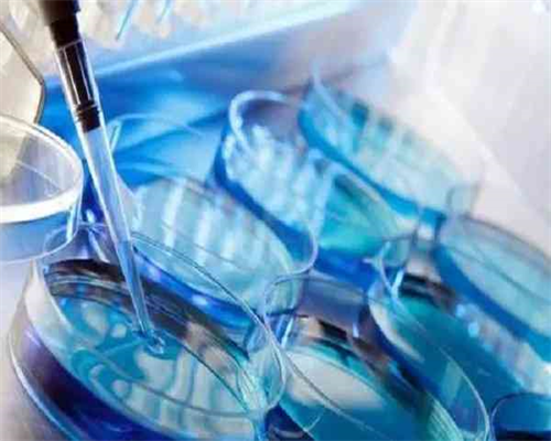 石家庄出名的试管医院排名 石家庄出名的试管医院排名前十