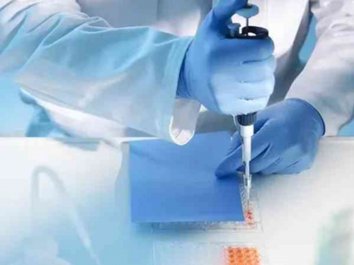 为什么上海助孕宝宝会早产？