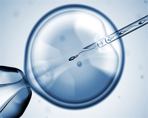 广州试管供卵生子助孕机构排名，附广东助孕机构一览！-代生中介电话