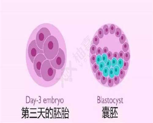 上海助孕宝宝喝奶哼唧上海助孕宝宝喝奶哼唧怎么回事