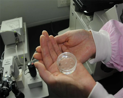 怎么给上海助孕宝宝拍嗝