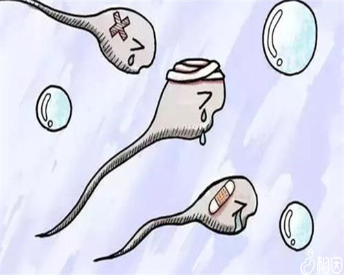 供精上海助孕宝宝会不会让人怀疑供精上海助孕宝宝不像爸爸怎么办