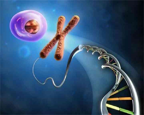 北京家圆医院借卵生男孩费用3-9万元不等?