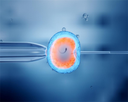 石家庄助孕代生子机构,石家庄三代试管生男孩费用到底是多少?附价格明细！