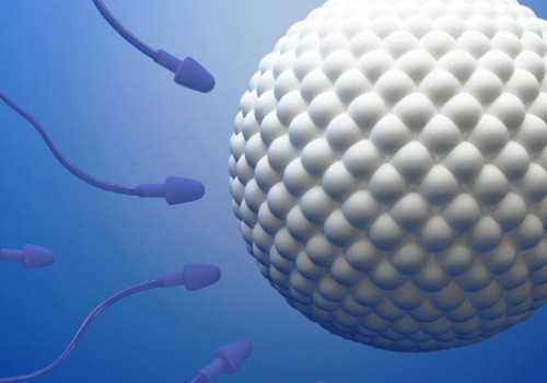 石家庄三代试管助孕合不合法吗？(石家庄市妇产医院三代试管)