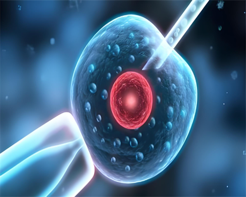 广州华诚试管助孕,广州供卵医院就到十月幸孕助孕_哪儿医院有代孕