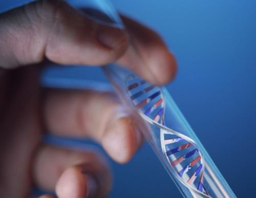 上海助孕宝宝不说话怎么办