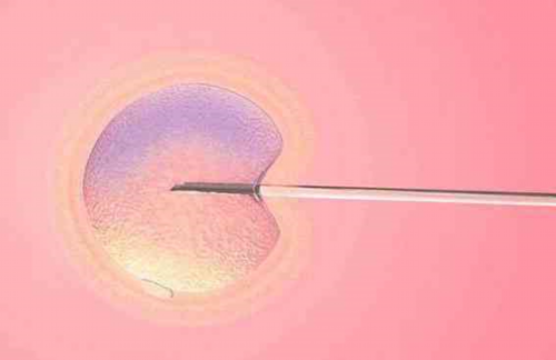 广州供卵试管包生男孩的助孕流程,广州合法助孕的试管机构有哪些？