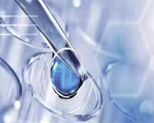 石家庄助孕价格