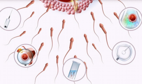 石家庄医院能做代生男孩,石家庄三代试管大概多少钱？石家庄试管婴儿多少钱