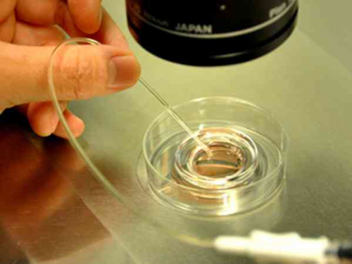 上海助孕宝宝起红疙瘩是什么原因上海助孕宝宝洗完澡脸上起红疙瘩