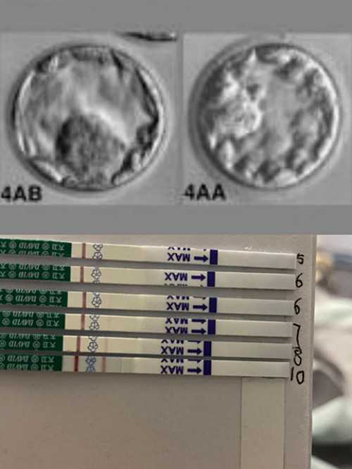 广州助孕机构排名哪家好？广州三大助孕机构邀您接好孕-哪可以代怀