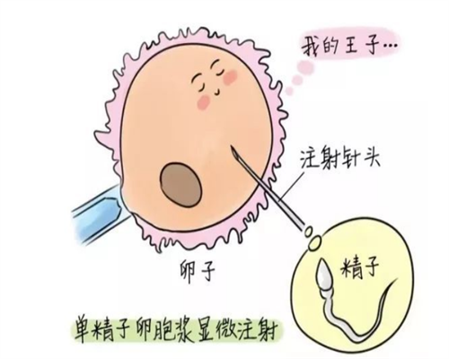 广州试管供卵生子助孕机构排名，附广东助孕机构一览！-三代供卵例子