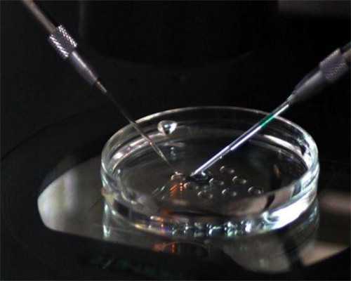 石家庄哪里可以做三代试管婴儿，2026石家庄三代试管婴儿医院排行榜