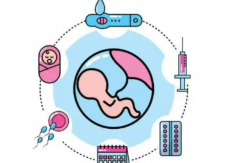 上海代孕生个孩子,上海怎么找借腹生子中介,上海供卵试管价格多少钱,【上海代
