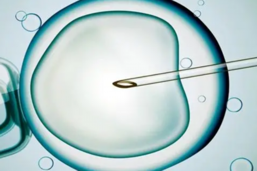 上海南浦医院试管助孕中心?,上海试管婴儿助孕中心排名前十-翠云廊