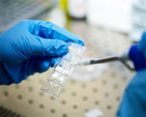 石家庄试管助孕费用多少钱石家庄试管助孕费用查询