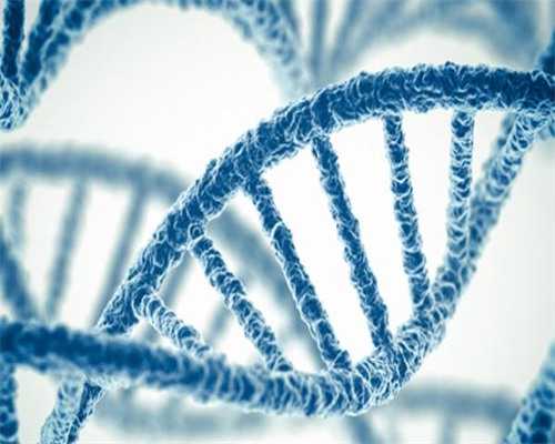 石家庄试管助孕代怀,2026年石家庄能做三代试管的医院汇总