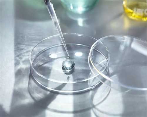 石家庄同性恋怀孕费用明细，石家庄同性恋怀孕费用明细解析