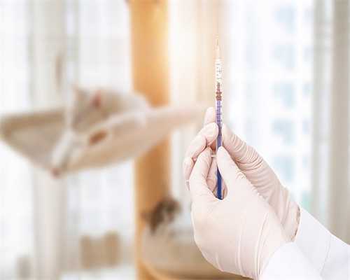 上海试管助孕公司有哪些？?,上海六院能不能供卵做试管助孕？