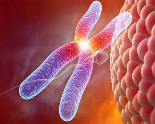 北京有资质的十大助孕机构,排名前十名北京试管助孕公司_怎样代怀